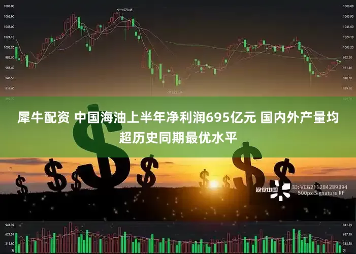 犀牛配资 中国海油上半年净利润695亿元 国内外产量均超历史同期最优水平