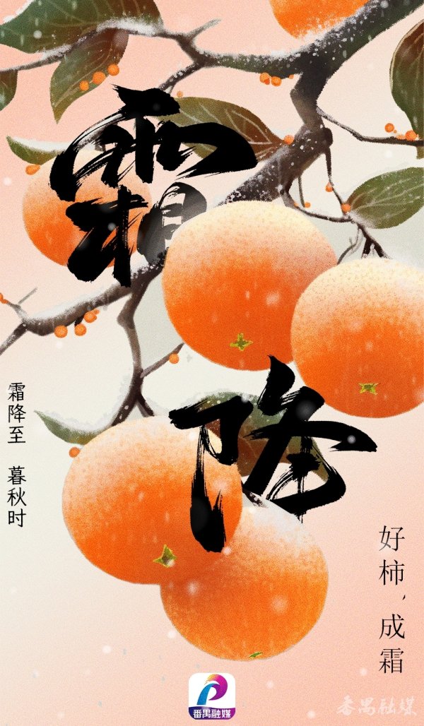 博泰配资 今日霜降｜一夜风“催”，番禺泛起半城秋意